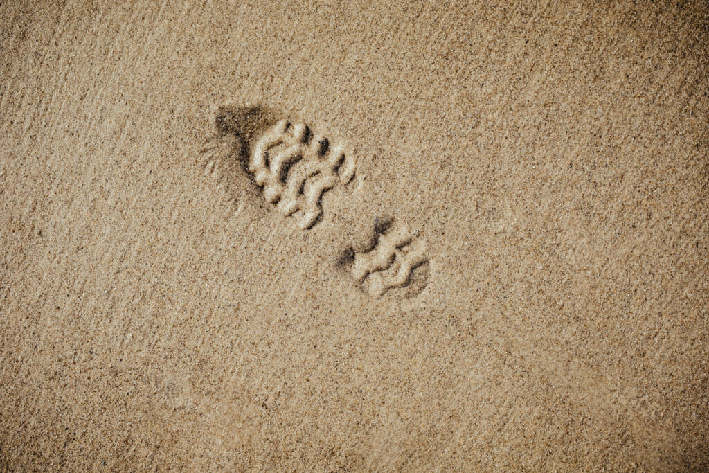 Picture from YWAM Lancaster | Are You Called to Missions?