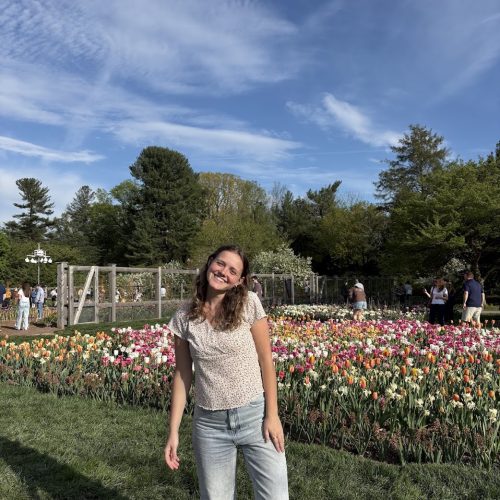 Desaray Nolt Profile Picture